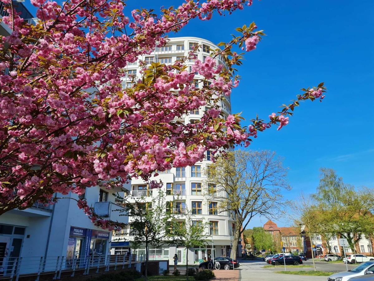 シフィノウイシチェVisit Baltic - Platan Tower Greyアパートメント エクステリア 写真